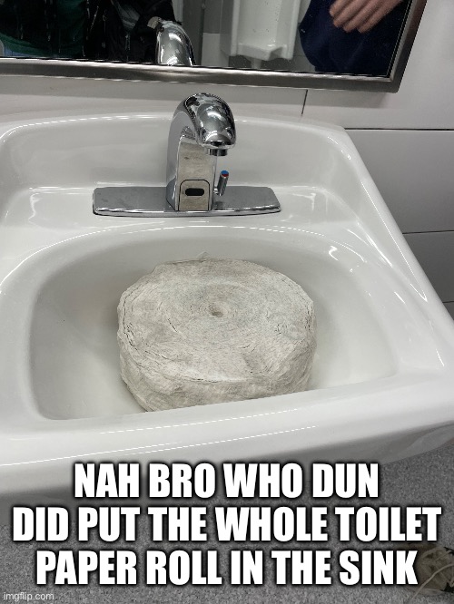 Yes this actually happened at my school | NAH BRO WHO DUN DID PUT THE WHOLE TOILET PAPER ROLL IN THE SINK | image tagged in middle school,yay,delicious,scrumptious | made w/ Imgflip meme maker