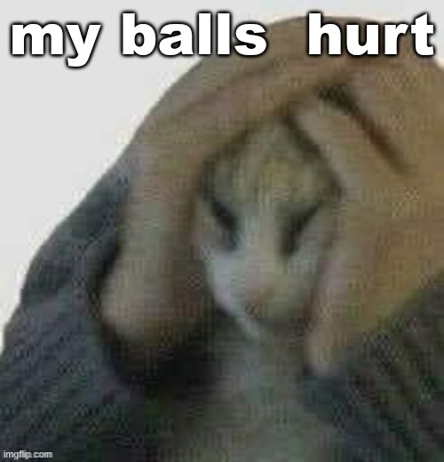 big ass hands | my balls  hurt | image tagged in big ass hands | made w/ Imgflip meme maker