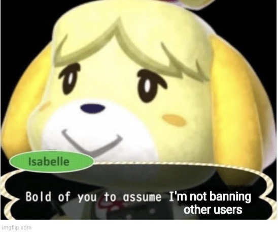 Bold of You to Assume | 'm not banning other users | image tagged in bold of you to assume | made w/ Imgflip meme maker