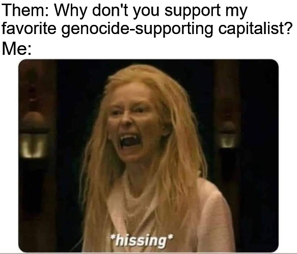 I don't vote for genocide supporters | Them: Why don't you support my favorite genocide-supporting capitalist? Me: | image tagged in hissing,genocide,israel,palestine,capitalism | made w/ Imgflip meme maker