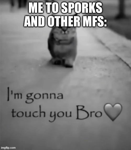 I'm gonna touch you bro | ME TO SPORKS AND OTHER MFS: | image tagged in i'm gonna touch you bro | made w/ Imgflip meme maker