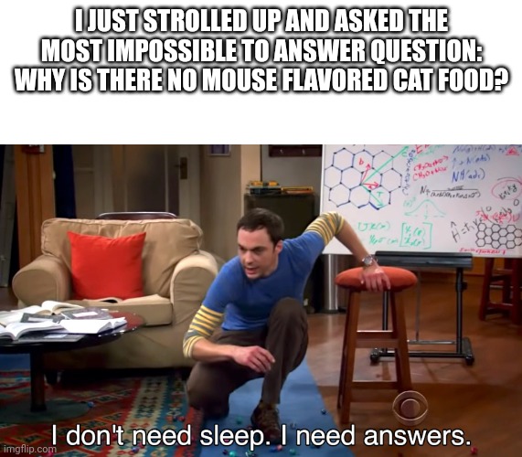 Stroll up to someone and ask this | I JUST STROLLED UP AND ASKED THE MOST IMPOSSIBLE TO ANSWER QUESTION: WHY IS THERE NO MOUSE FLAVORED CAT FOOD? | image tagged in i don't need sleep i need answers,do it | made w/ Imgflip meme maker