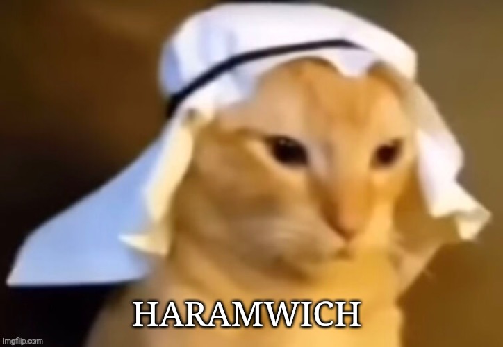 haram cat | HARAMWICH | image tagged in haram cat | made w/ Imgflip meme maker
