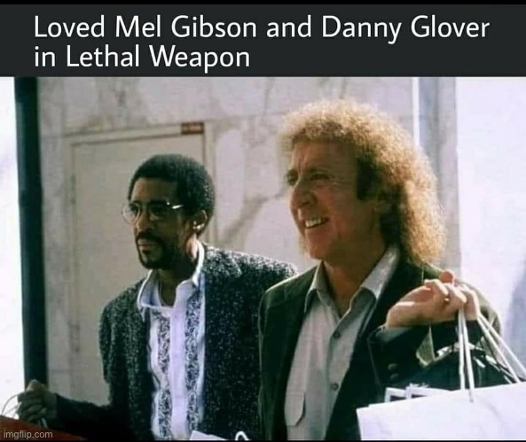 Lethal Weapon | image tagged in lethal weapon,you had one job,mel gibson | made w/ Imgflip meme maker