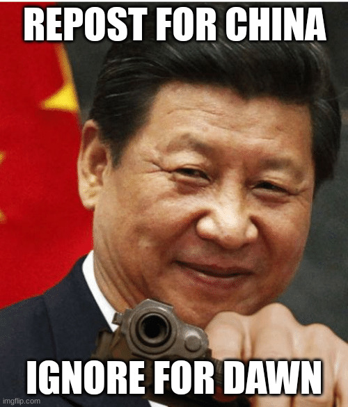 Xi Jinping | REPOST FOR CHINA; IGNORE FOR DAWN | image tagged in xi jinping | made w/ Imgflip meme maker