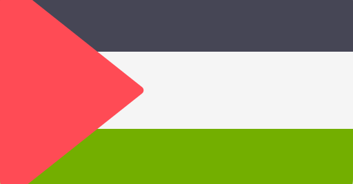 Palestine Flag Blank Meme Template
