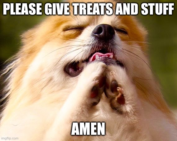 Doggo goes “Ask now, ask later” | PLEASE GIVE TREATS AND STUFF; AMEN | image tagged in dog praying | made w/ Imgflip meme maker