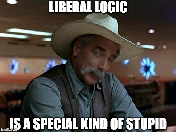 special kind of stupid | LIBERAL LOGIC IS A SPECIAL KIND OF STUPID | image tagged in special kind of stupid | made w/ Imgflip meme maker