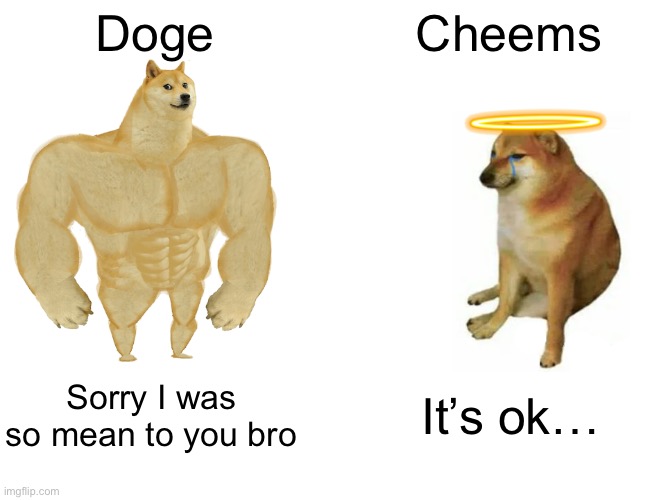 He died so long ago but I still miss him ? | Doge; Cheems; Sorry I was so mean to you bro; It’s ok… | image tagged in memes,buff doge vs cheems | made w/ Imgflip meme maker