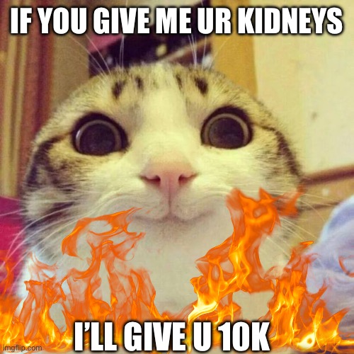 Gimme ur kidneys | IF YOU GIVE ME UR KIDNEYS; I’LL GIVE U 10K | image tagged in memes,smiling cat,organ | made w/ Imgflip meme maker