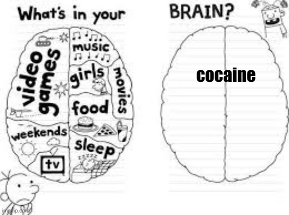 fun fact: cheese triggers the same part of your brain as hard drugs | cocaine | image tagged in whats in your brain | made w/ Imgflip meme maker