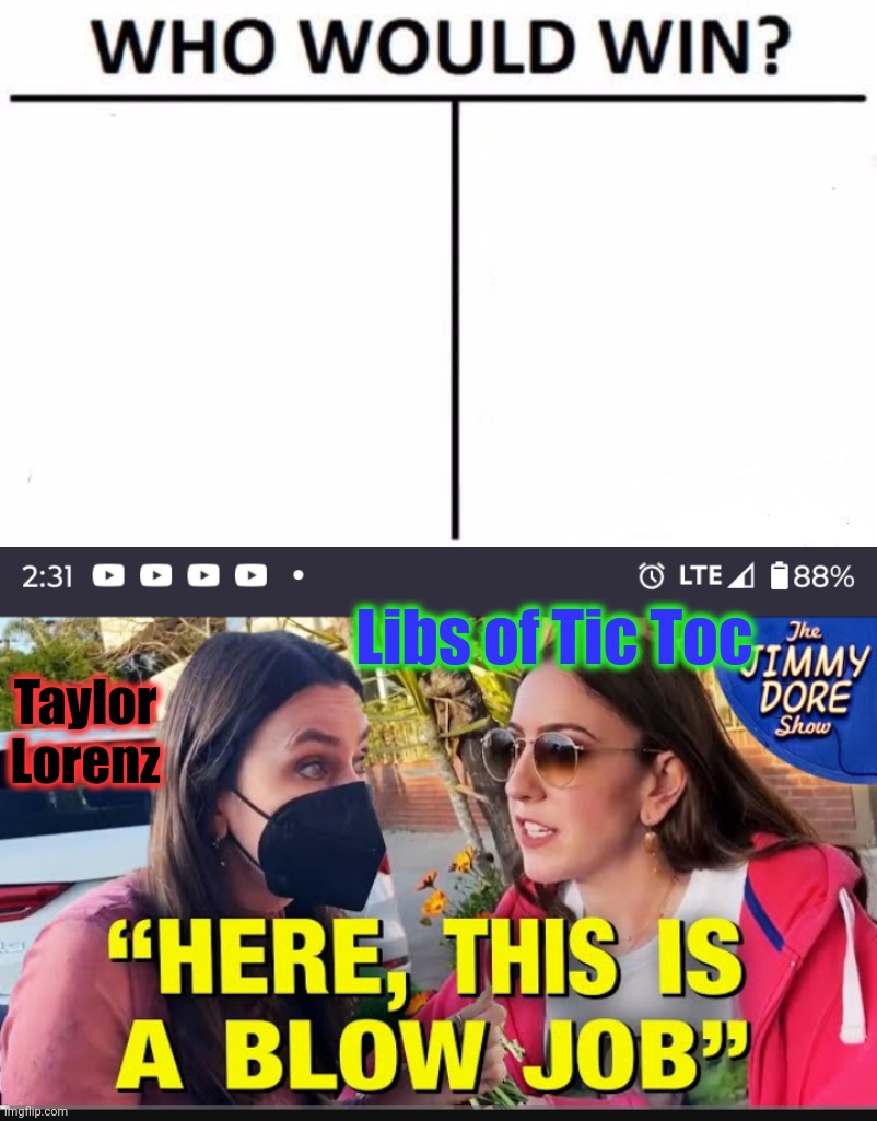 Taylor Lorenz Libs of Tic Toc | image tagged in memes,who would win | made w/ Imgflip meme maker