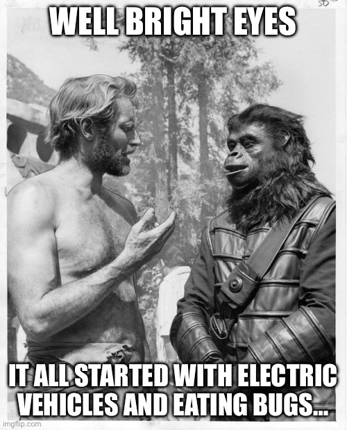 Planet of the apes | WELL BRIGHT EYES; IT ALL STARTED WITH ELECTRIC VEHICLES AND EATING BUGS… | image tagged in planet of the apes | made w/ Imgflip meme maker