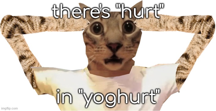 cat shocked | there's "hurt"; in "yoghurt" | image tagged in cat shocked | made w/ Imgflip meme maker