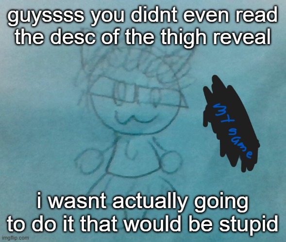 bda neko arc | guyssss you didnt even read the desc of the thigh reveal; i wasnt actually going to do it that would be stupid | image tagged in bda neko arc | made w/ Imgflip meme maker