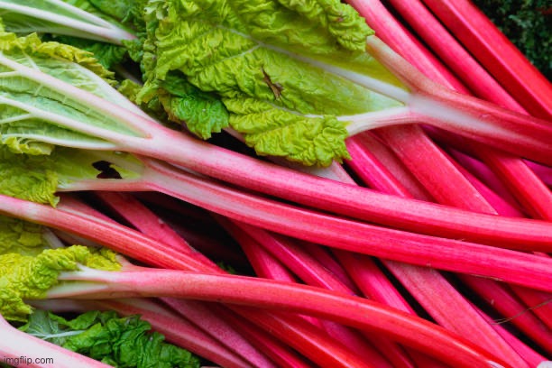 rhubarb | made w/ Imgflip meme maker