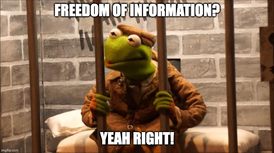 Kermit in jail | FREEDOM OF INFORMATION? YEAH RIGHT! | image tagged in kermit in jail,barry young,julian assange,whistleblower | made w/ Imgflip meme maker