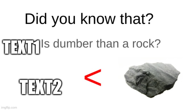 Did you know that (blank) is dumber than a rock? | TEXT1; TEXT2 | image tagged in did you know that blank is dumber than a rock | made w/ Imgflip meme maker
