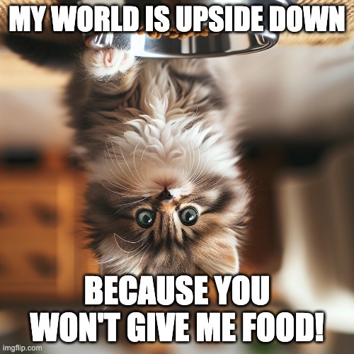 MY WORLD IS UPSIDE DOWN; BECAUSE YOU WON'T GIVE ME FOOD! | made w/ Imgflip meme maker