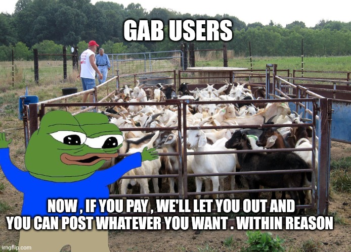 Gab | GAB USERS; NOW , IF YOU PAY , WE'LL LET YOU OUT AND YOU CAN POST WHATEVER YOU WANT . WITHIN REASON | image tagged in social media | made w/ Imgflip meme maker