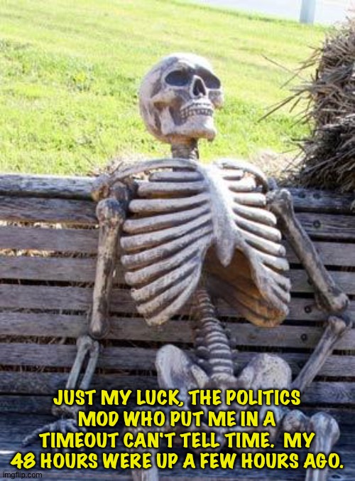 Lost in space | JUST MY LUCK, THE POLITICS MOD WHO PUT ME IN A TIMEOUT CAN'T TELL TIME.  MY 48 HOURS WERE UP A FEW HOURS AGO. | image tagged in memes,waiting skeleton | made w/ Imgflip meme maker