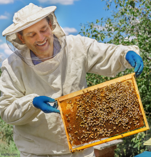 Beekeeper catch no feelings | image tagged in beekeeper catch no feelings | made w/ Imgflip meme maker