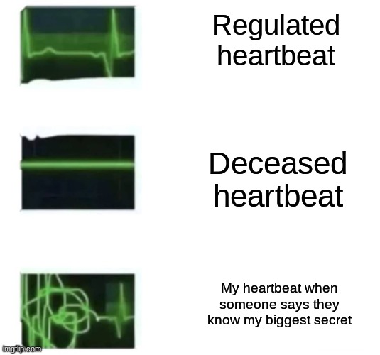 my secret is not a very good one | Regulated heartbeat; Deceased heartbeat; My heartbeat when someone says they know my biggest secret | image tagged in heart beat goes insane | made w/ Imgflip meme maker