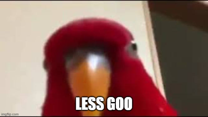 Red Birb Gumi Staring | LESS GOO | image tagged in red birb gumi staring | made w/ Imgflip meme maker