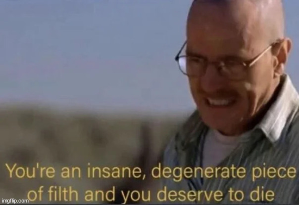 You're an insane, degenerate piece of filth | image tagged in you're an insane degenerate piece of filth | made w/ Imgflip meme maker