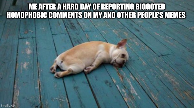 tired dog | ME AFTER A HARD DAY OF REPORTING BIGOTED HOMOPHOBIC COMMENTS ON MY AND OTHER PEOPLE’S MEMES | image tagged in tired dog | made w/ Imgflip meme maker