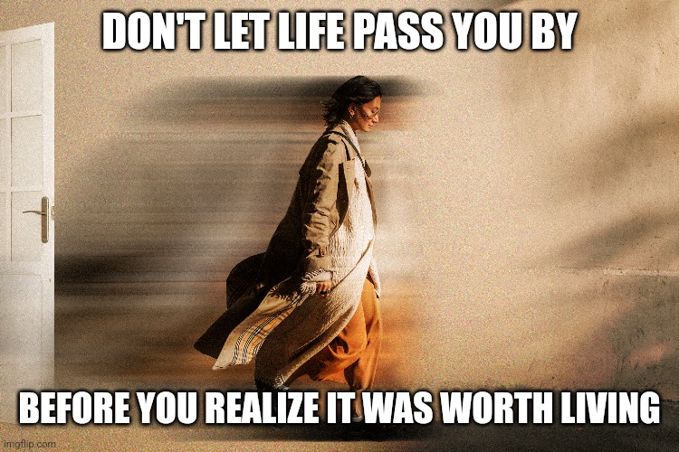 DON'T LET LIFE PASS YOU BY; BEFORE YOU REALIZE IT WAS WORTH LIVING | image tagged in busy,work,time,life | made w/ Imgflip meme maker