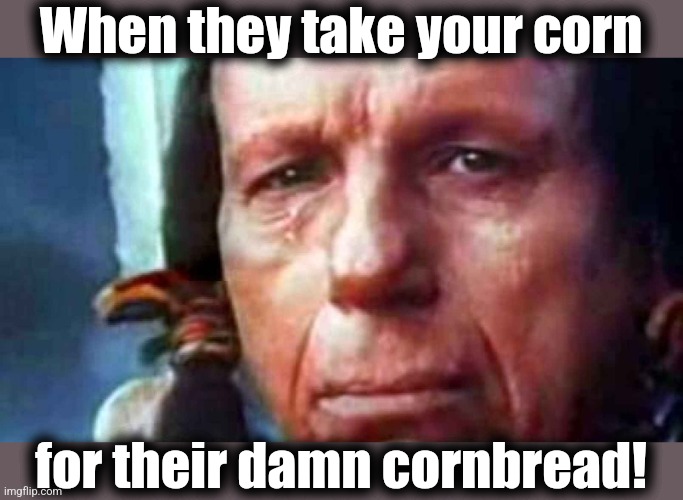 Crying Indian | When they take your corn for their damn cornbread! | image tagged in crying indian | made w/ Imgflip meme maker