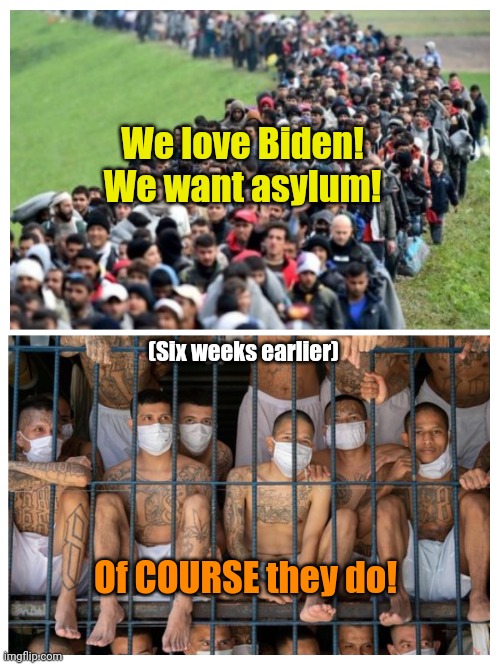 Ever wonder what their jobs were before they arrived here? | We love Biden!
We want asylum! (Six weeks earlier); Of COURSE they do! | made w/ Imgflip meme maker