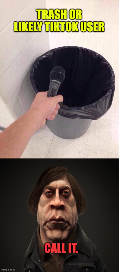 TRASH OR LIKELY TIKTOK USER CALL IT. | image tagged in trash can interview,call it | made w/ Imgflip meme maker