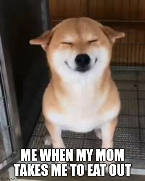 yippe | ME WHEN MY MOM TAKES ME TO EAT OUT | image tagged in dogs,fun,smiling dog | made w/ Imgflip meme maker