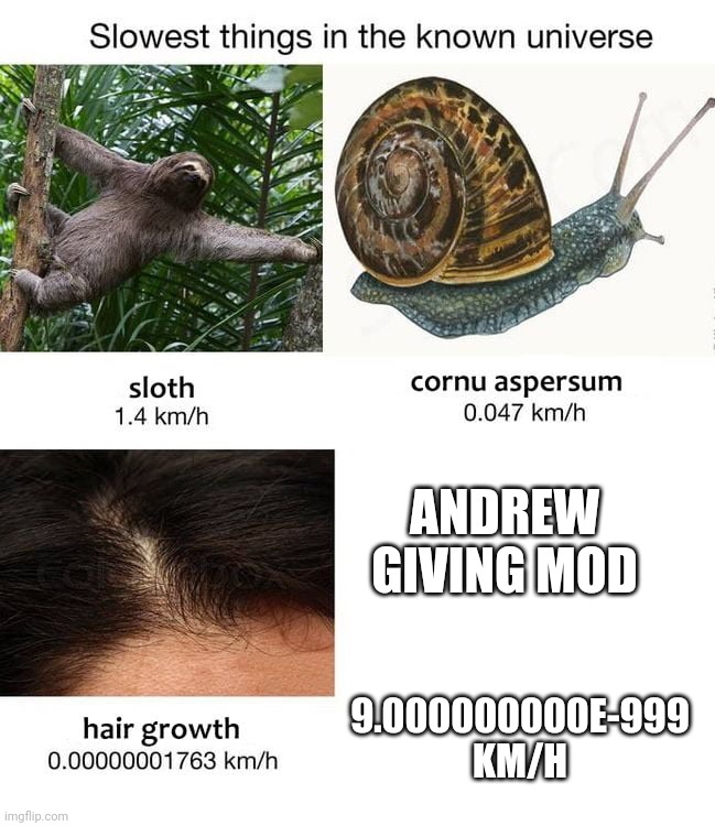 Nothing slower | ANDREW GIVING MOD; 9.000000000E-999 KM/H | image tagged in slowest things | made w/ Imgflip meme maker