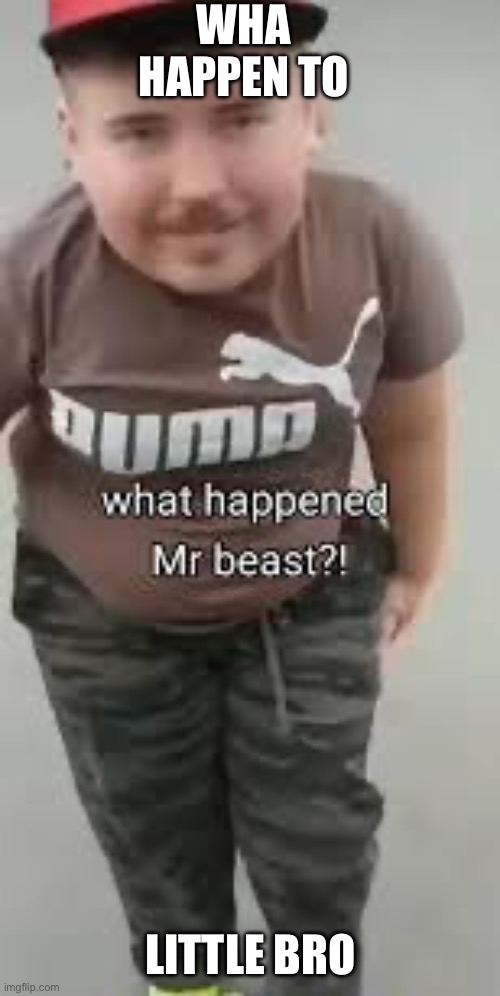 What happened to him | WHA HAPPEN TO; LITTLE BRO | image tagged in ong what happened to mrbeast | made w/ Imgflip meme maker