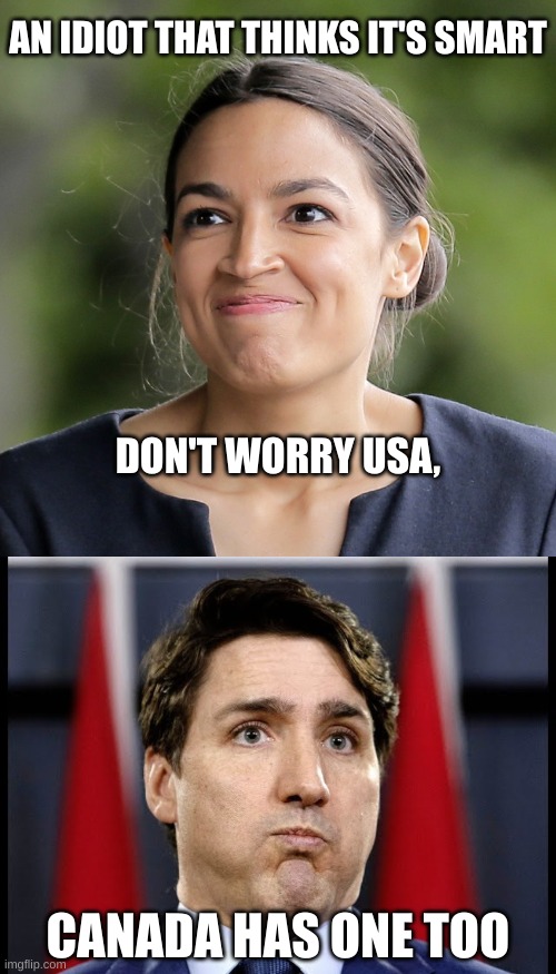 There's one in every government | AN IDIOT THAT THINKS IT'S SMART; DON'T WORRY USA, CANADA HAS ONE TOO | image tagged in alexandria ocasio-cortez,justin trudeau scared | made w/ Imgflip meme maker