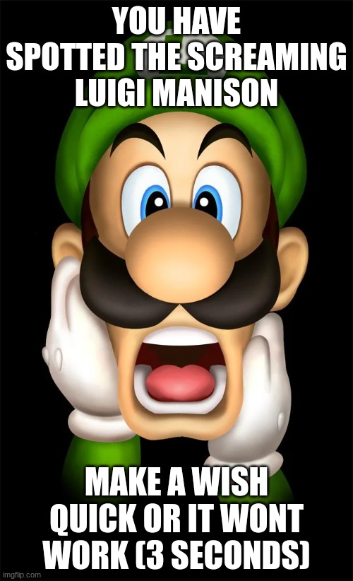 weege | YOU HAVE SPOTTED THE SCREAMING LUIGI MANISON; MAKE A WISH QUICK OR IT WONT WORK (3 SECONDS) | image tagged in weegee,luigi | made w/ Imgflip meme maker