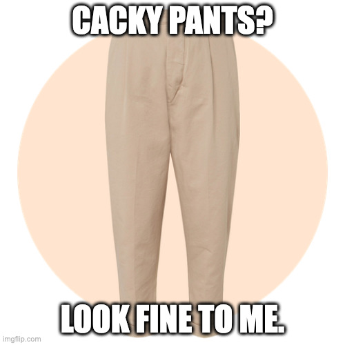Khaki pants | CACKY PANTS? LOOK FINE TO ME. | image tagged in khaki pants | made w/ Imgflip meme maker