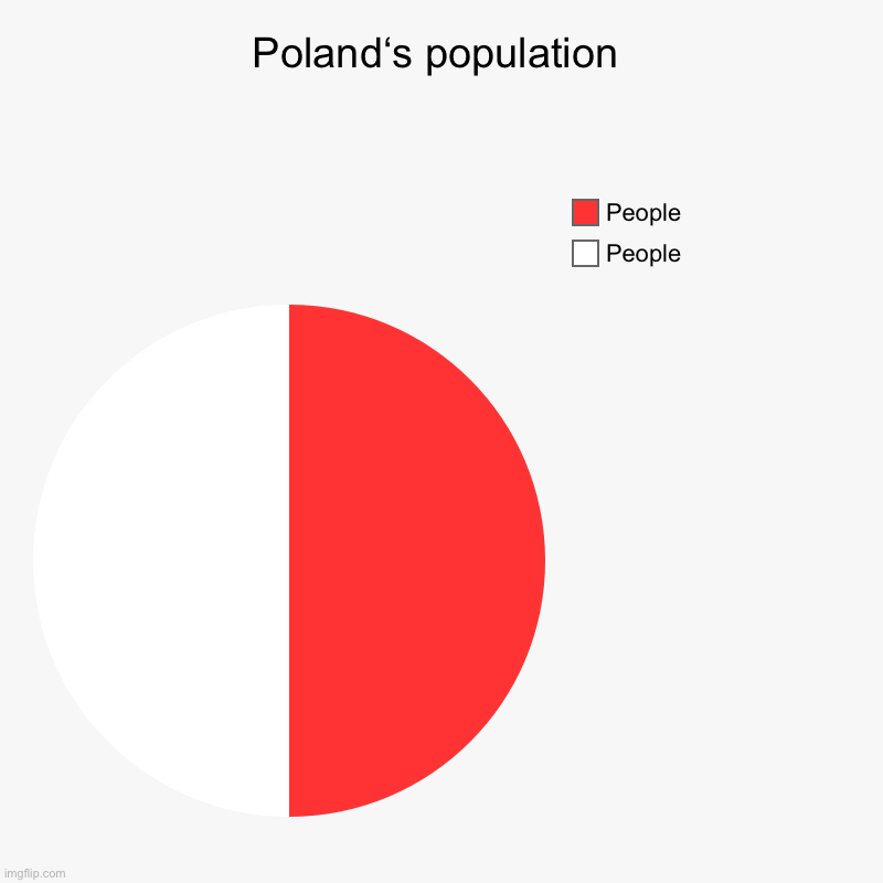 Polish population informative chart | Poland‘s population | People, People | image tagged in charts,pie charts | made w/ Imgflip chart maker