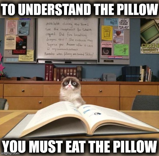 Grumpy cat studying | TO UNDERSTAND THE PILLOW YOU MUST EAT THE PILLOW | image tagged in grumpy cat studying | made w/ Imgflip meme maker