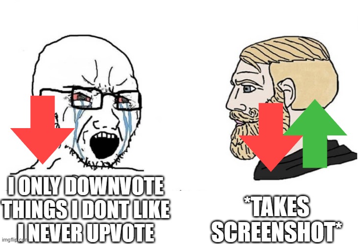 Screenshot lol | *TAKES SCREENSHOT*; I ONLY DOWNVOTE THINGS I DONT LIKE
I NEVER UPVOTE | image tagged in soyboy vs yes chad,upvote,downvote | made w/ Imgflip meme maker