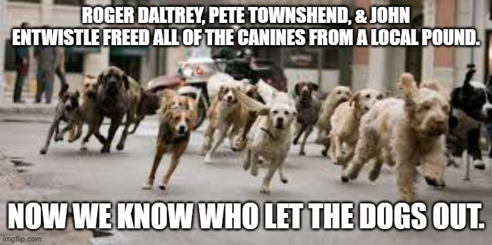 meme by Brad Who let the dogs out? | ROGER DALTREY, PETE TOWNSHEND, & JOHN ENTWISTLE FREED ALL OF THE CANINES FROM A LOCAL POUND. NOW WE KNOW WHO LET THE DOGS OUT. | image tagged in fun,funny,who let the dogs out,the who,funny dogs,humor | made w/ Imgflip meme maker