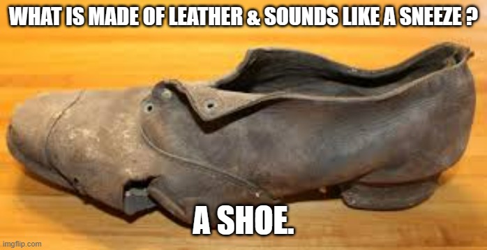 meme by Brad What smells like leather and sounds like a sneeze? | WHAT IS MADE OF LEATHER & SOUNDS LIKE A SNEEZE ? A SHOE. | image tagged in fun,funny,humor,funny meme,shoe | made w/ Imgflip meme maker