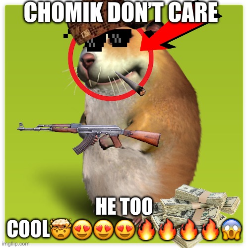 Chomik is too cool | CHOMIK DON’T CARE; HE TOO COOL🤯😍😍😍🔥🔥🔥🔥😱 | image tagged in chomik | made w/ Imgflip meme maker
