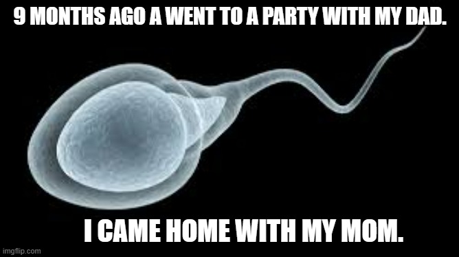 meme by Brad went to party with dad came home with mom | 9 MONTHS AGO A WENT TO A PARTY WITH MY DAD. I CAME HOME WITH MY MOM. | image tagged in fun,funny,pregnant woman,sperm,funny meme,humor | made w/ Imgflip meme maker
