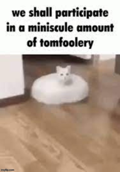 tomfoolery | image tagged in tomfoolery | made w/ Imgflip meme maker