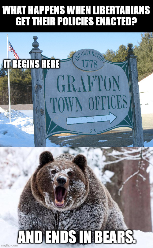 It's Grafton, New Hampshire and hilarious. | WHAT HAPPENS WHEN LIBERTARIANS GET THEIR POLICIES ENACTED? IT BEGINS HERE; AND ENDS IN BEARS. | image tagged in cocaine bear | made w/ Imgflip meme maker