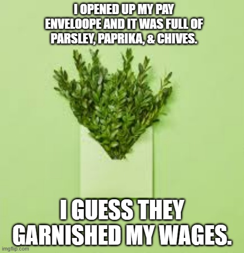 meme by Brad They garnished my wages | I OPENED UP MY PAY ENVELOOPE AND IT WAS FULL OF PARSLEY, PAPRIKA, & CHIVES. I GUESS THEY GARNISHED MY WAGES. | image tagged in fun,funny,salary,money,funny meme,humor | made w/ Imgflip meme maker